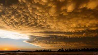 The colour and shape of these clouds in the evening sunlight