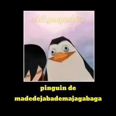 🐧
