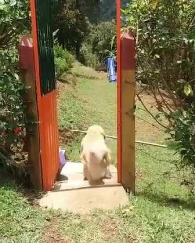 Where there's a will, there's a way