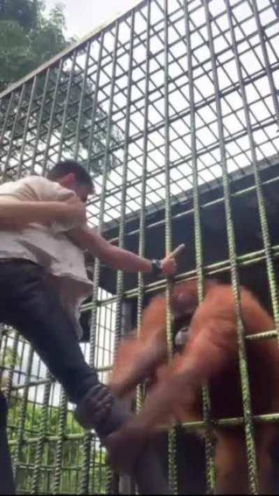 Thought this should belong here. Credit too: u/adnanbappy