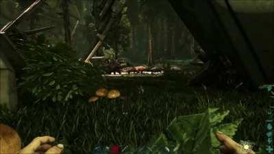 When you accidentally whistle 