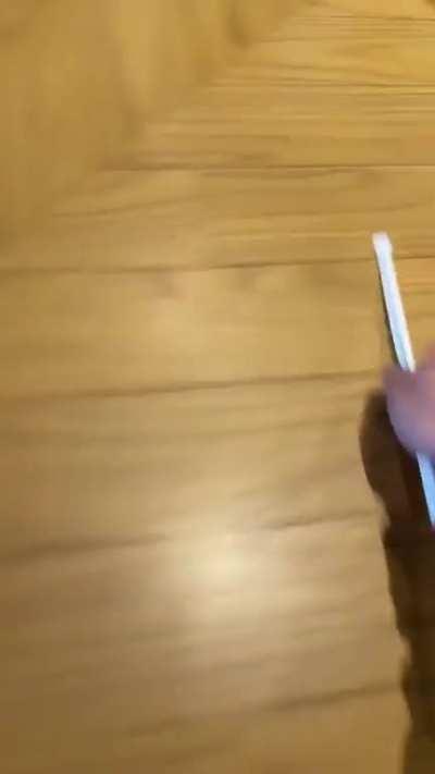 Dio after commit mass murderer