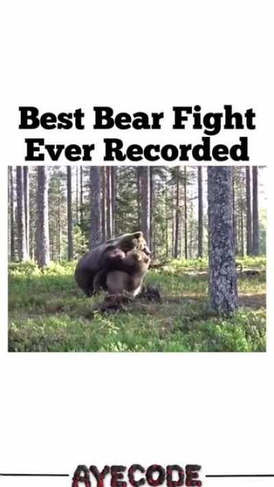 Some MFS think they can actually fight a bear