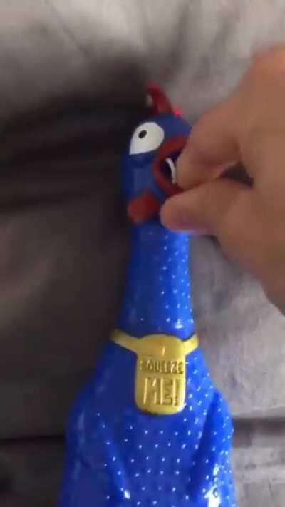 Rip headphones 🎧💥