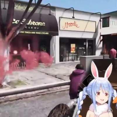 A quick summary of Pekora's experience on Hogwarts Legacy