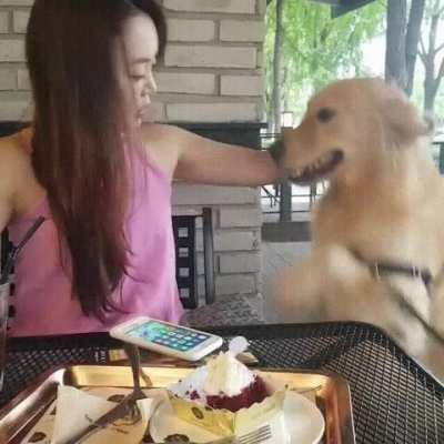 A kiss for you hooman, look like that need a little kiss too