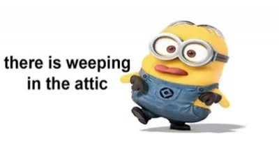 I love these little yellow beans rule