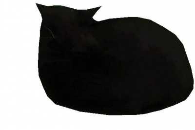 Cat, when in inventory, +1 cat