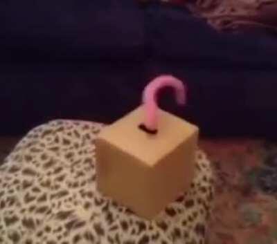 I would swordfight with this