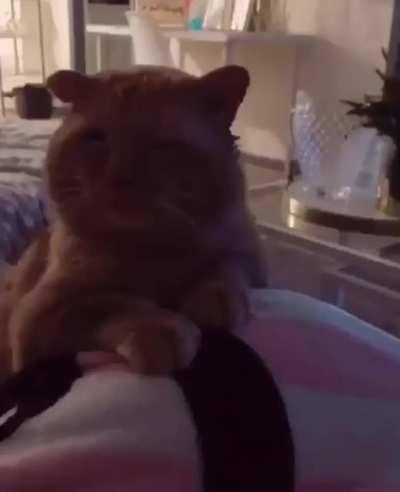 Thanks for giving me a chance.