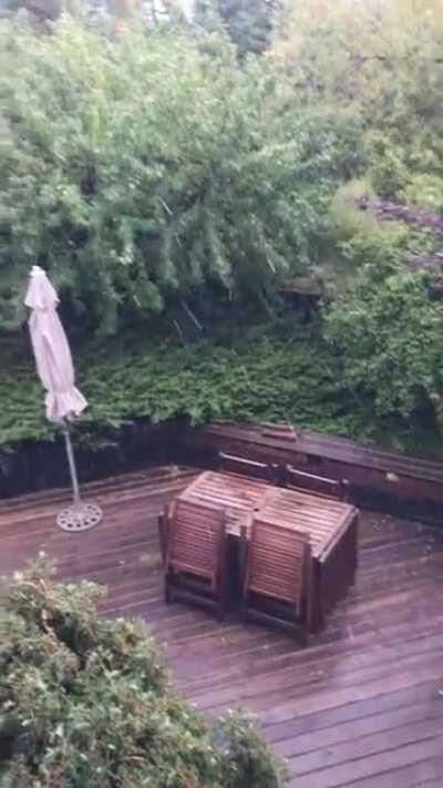 First snow of the season in Edgemont