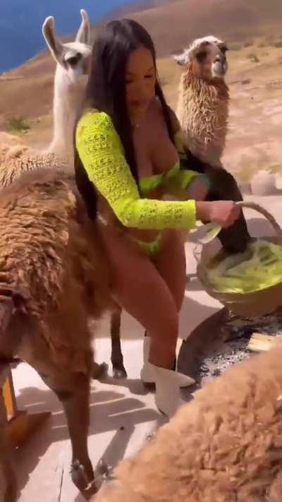 Big asses are perfect