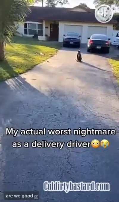 please be a good boy