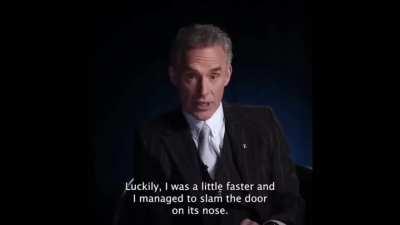 My Favorif Jordan Belfort Vibeo