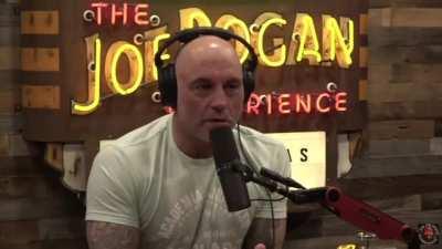 Joe Rogan, 