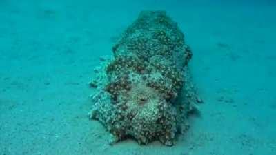 🐟Fizzboi's bussy🥵 after taking↪️ Nautass's anchor 🍆⚓