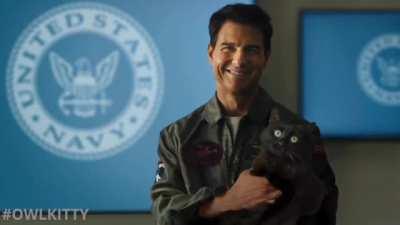 Top Gun: Meowverick. Truly one of the best things Ive ever seen