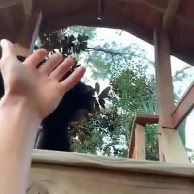 Tremenda facha mi pana