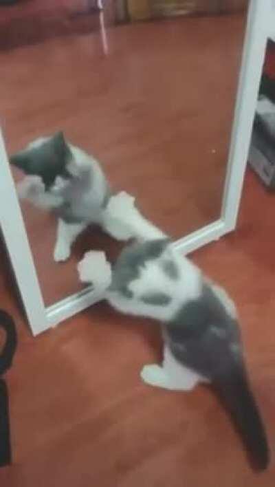 Smol criminal confronting themselves...