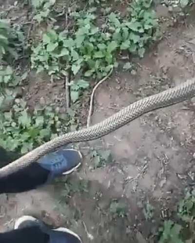 If you let go I'll let go