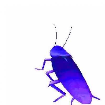 Why not just set this as your profile pic?