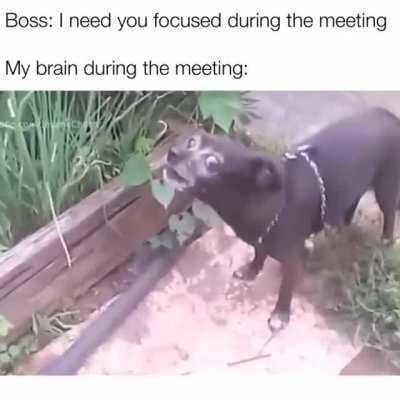 Best thing I've seen all day