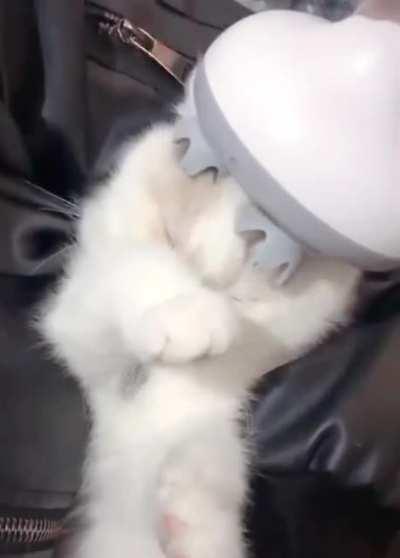 Stop it! Ok then go ahead