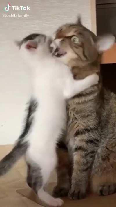 Annoyed vibes only 😇