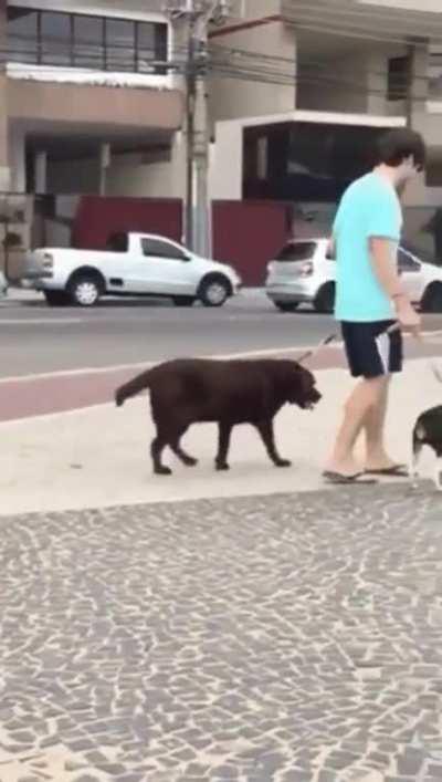 Going home was going left, going for a walk was going right.