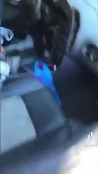 Let me get that thing from a car