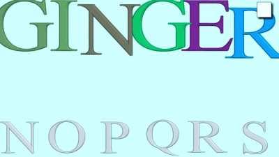 AuthRight Learning to Spell with Refrigerator Magnets