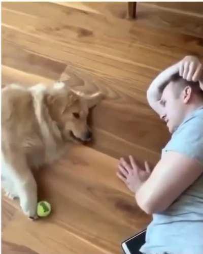 To play fetch
