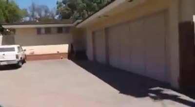 80-year-old says 🅱uck around and 🅱ind out