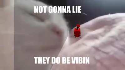 THIS IS THE BEST SONG FROM THE POGGERS MOUNTAIN ALBUM