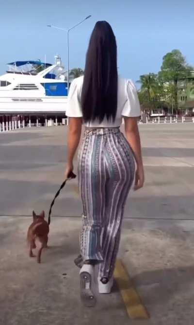 Walking a dog