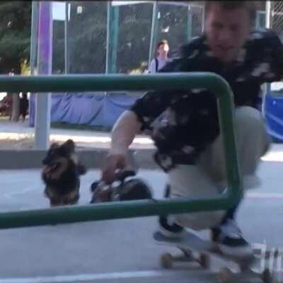 Filmer hippy jumps his camera!