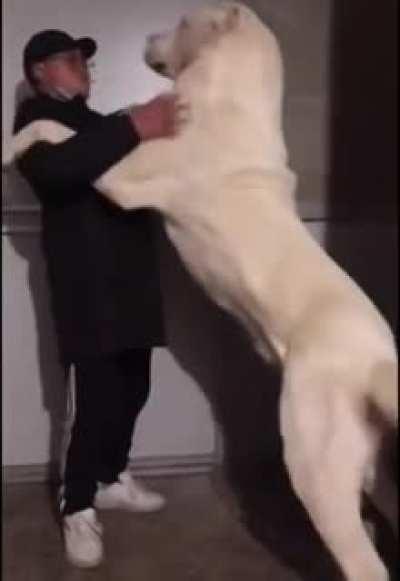 Normal size for that breed?