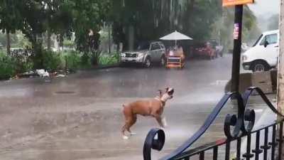 What a glorious feeling! (sound up)