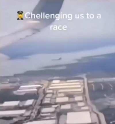 Chicken race in the sky