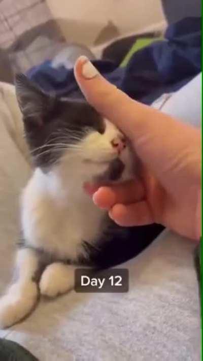 Kindness goes a long way