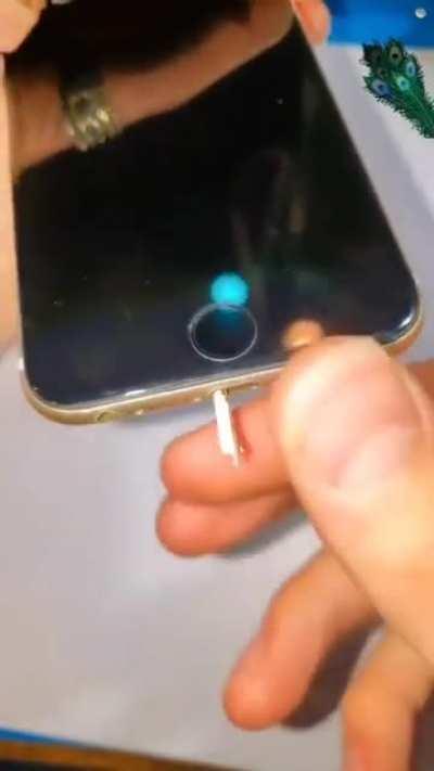 That's not important, is it?