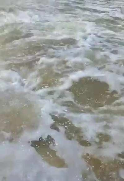 olha a situação do menino