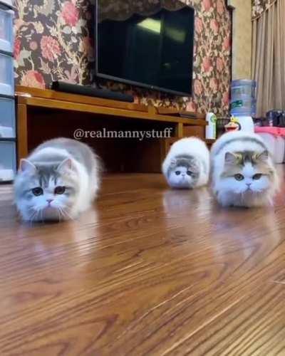 closing-in-on-the-target