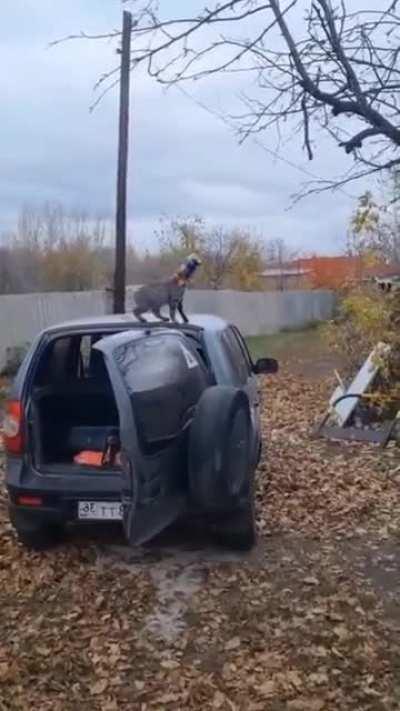 Опа чипсики 😂