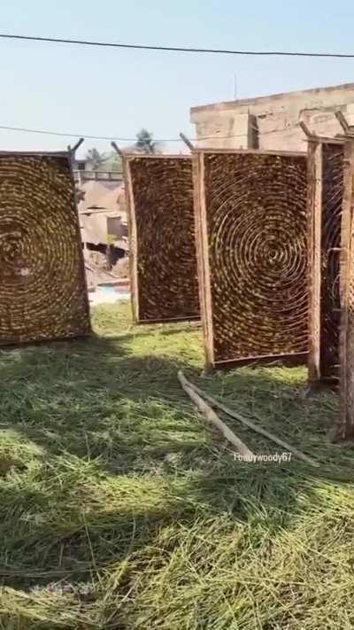 How Silk is made is quite surprising to many. It all starts with the silkworm