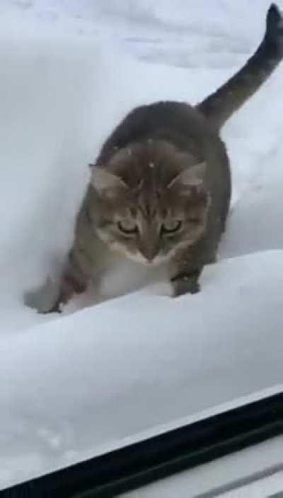 My snow people need me