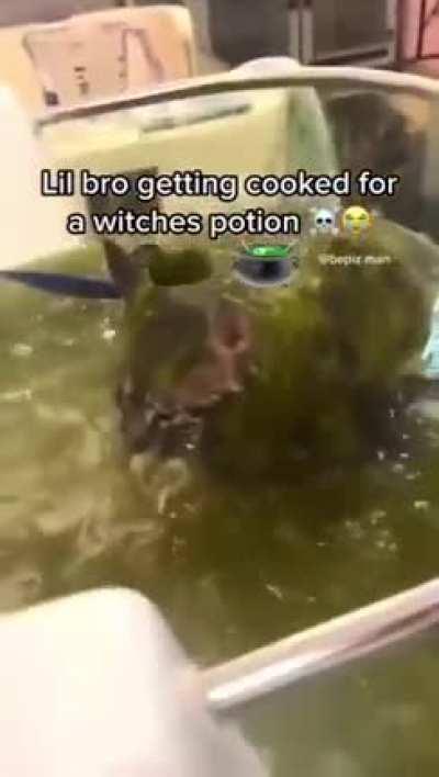 Wordington ingredient