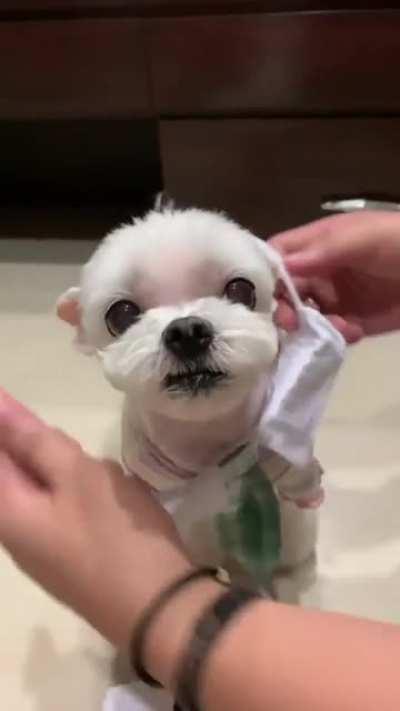 Wait till the end 😂😂😂