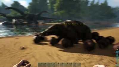 “Turd World Country” - aka I messed with the wrong setting & my fiancé is horrified. 🤭