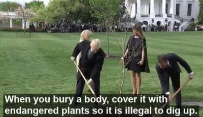 Some people would say I'm very, very, very intelligent.